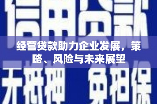 宁武经营贷款助力企业发展，策略、风险与未来展望