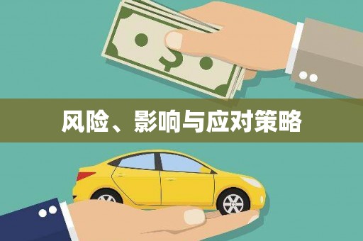 宁武风险、影响与应对策略