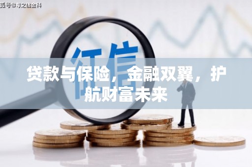 宁武贷款与保险，金融双翼，护航财富未来