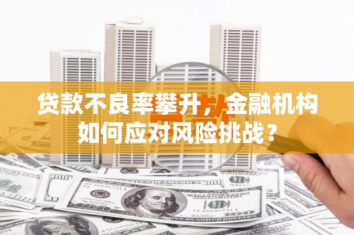 宁武贷款不良率攀升，金融机构如何应对风险挑战？