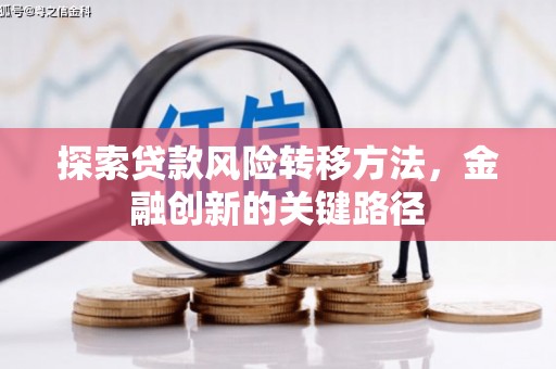 宁武探索贷款风险转移方法，金融创新的关键路径
