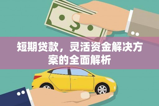 宁武短期贷款，灵活资金解决方案的全面解析