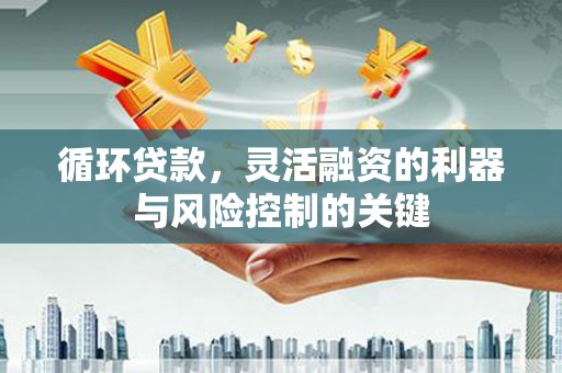 宁武循环贷款，灵活融资的利器与风险控制的关键