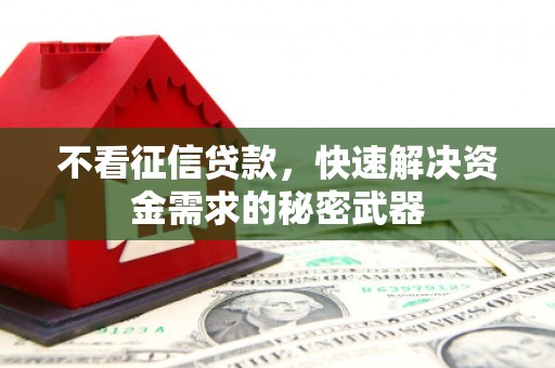 宁武不看征信贷款，快速解决资金需求的秘密武器