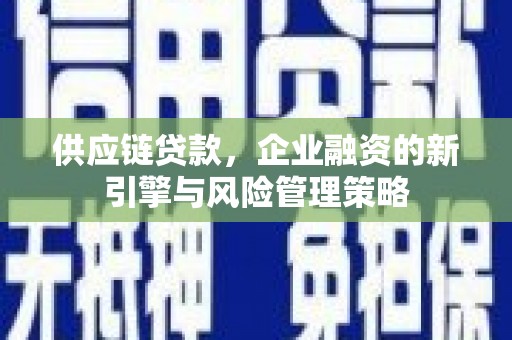 宁武供应链贷款，企业融资的新引擎与风险管理策略
