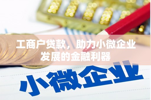 宁武工商户贷款，助力小微企业发展的金融利器