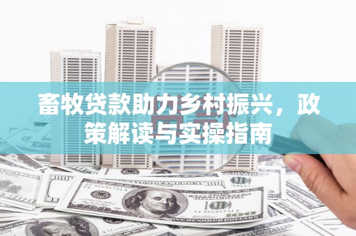宁武畜牧贷款助力乡村振兴，政策解读与实操指南