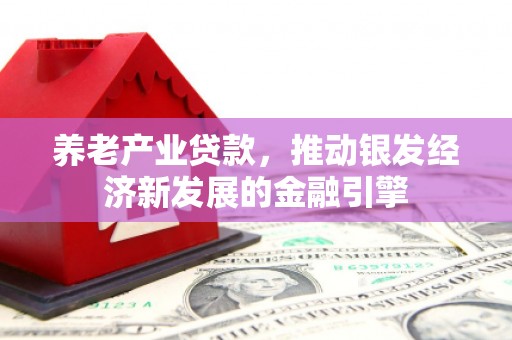 宁武养老产业贷款，推动银发经济新发展的金融引擎