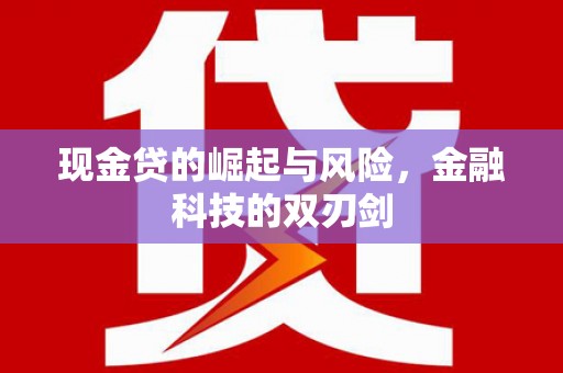 宁武现金贷的崛起与风险，金融科技的双刃剑