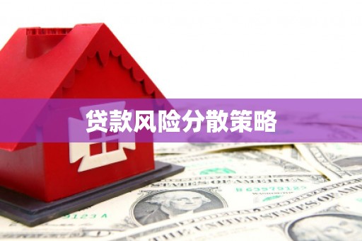 宁武贷款风险分散策略