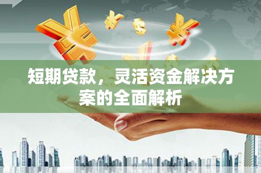 宁武短期贷款，灵活资金解决方案的全面解析