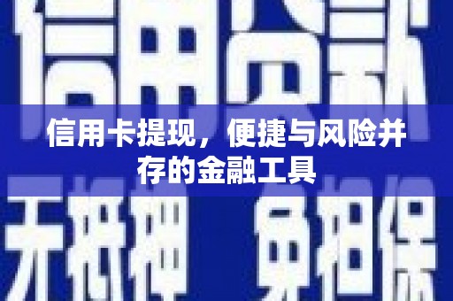 宁武信用卡提现，便捷与风险并存的金融工具