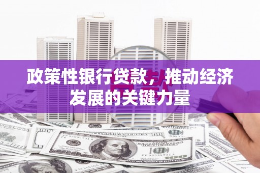 宁武政策性银行贷款，推动经济发展的关键力量