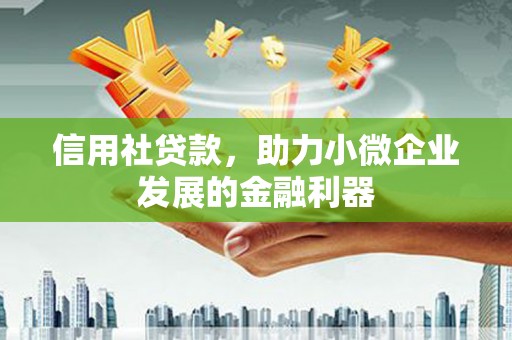 宁武信用社贷款，助力小微企业发展的金融利器