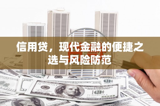 宁武信用贷，现代金融的便捷之选与风险防范