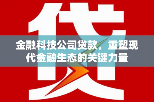 宁武金融科技公司贷款，重塑现代金融生态的关键力量