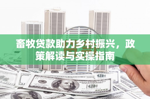 宁武畜牧贷款助力乡村振兴，政策解读与实操指南