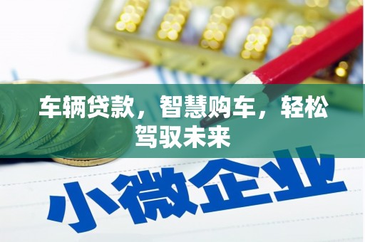 宁武车辆贷款，智慧购车，轻松驾驭未来