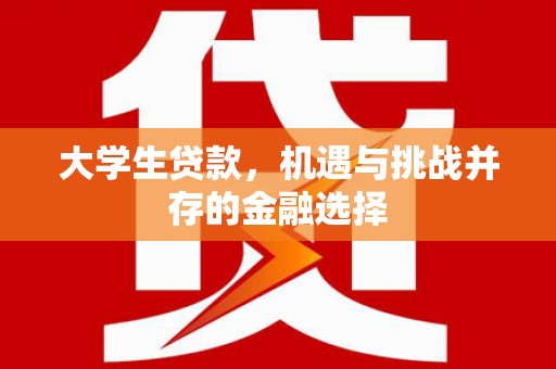 宁武大学生贷款，机遇与挑战并存的金融选择