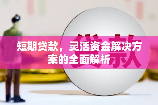 宁武短期贷款，灵活资金解决方案的全面解析