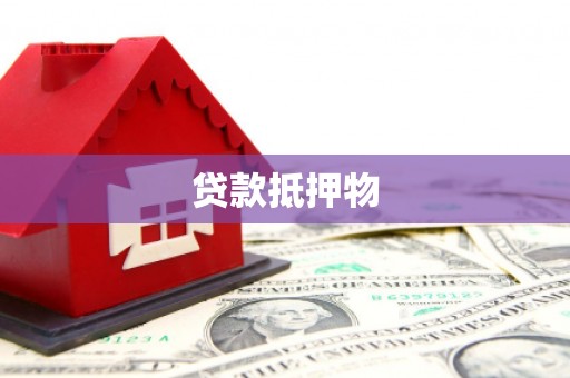 宁武贷款抵押物