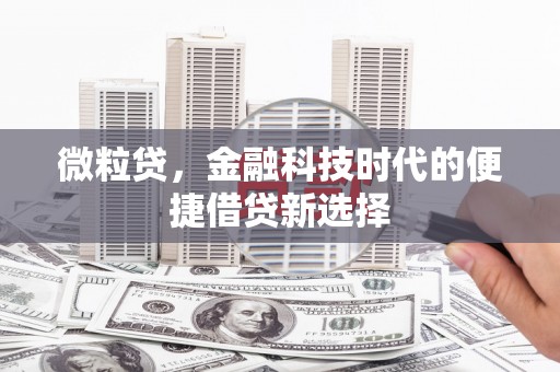 宁武微粒贷，金融科技时代的便捷借贷新选择