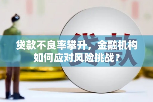 宁武贷款不良率攀升，金融机构如何应对风险挑战？