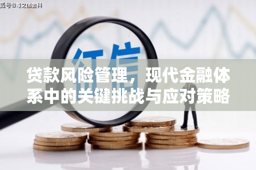 宁武贷款风险管理，现代金融体系中的关键挑战与应对策略