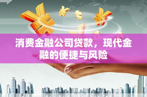宁武消费金融公司贷款，现代金融的便捷与风险