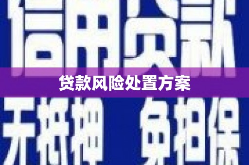 宁武贷款风险处置方案