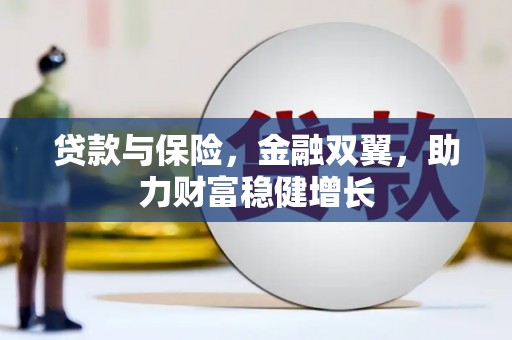 宁武贷款与保险，金融双翼，助力财富稳健增长
