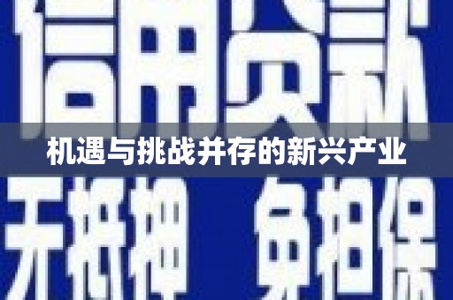 宁武机遇与挑战并存的新兴产业