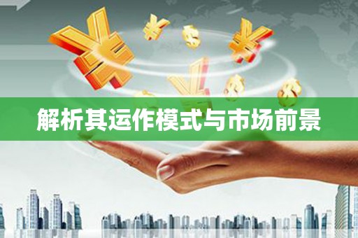 宁武解析其运作模式与市场前景
