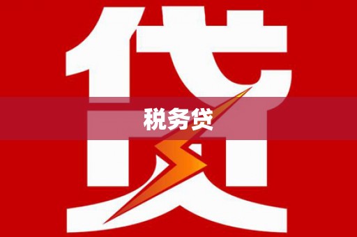 宁武税务贷