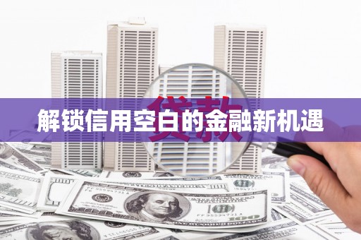 宁武解锁信用空白的金融新机遇