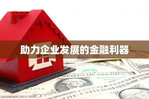 宁武助力企业发展的金融利器