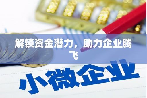 宁武解锁资金潜力，助力企业腾飞