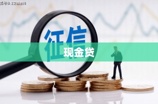 宁武现金贷