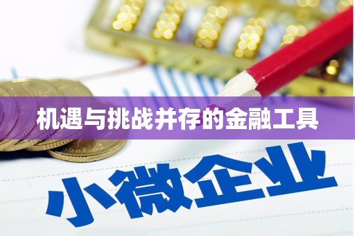 宁武机遇与挑战并存的金融工具