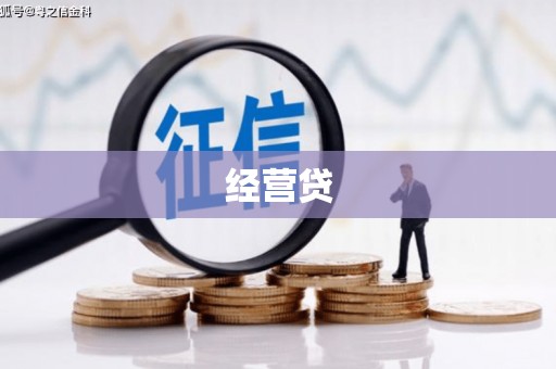 宁武经营贷