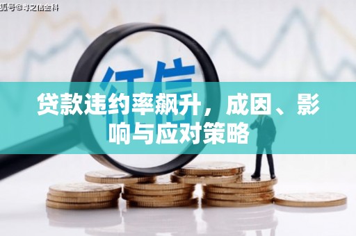 宁武贷款违约率飙升，成因、影响与应对策略